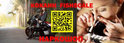 гидра Ставрополь