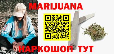 гидра Ставрополь