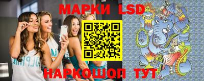 гидра Ставрополь