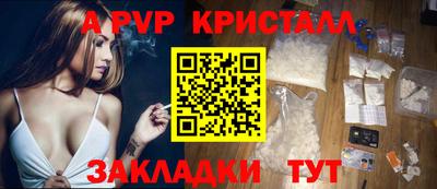 гидра Ставрополь