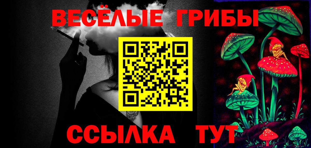 Белебей  Псилоцибиновые грибы Cubensis  купить наркоту  Вход с VPN 